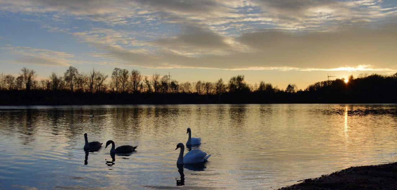Vila Wohnen-Auf-Zeit-Am-See Großostheim Exteriér fotografie